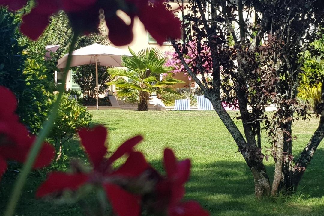 Photo of Others in Solignac