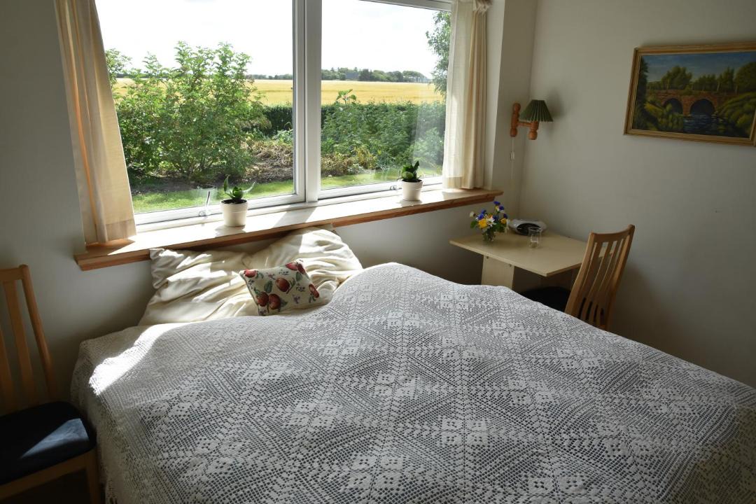 Photo of Others in Norre Nebel