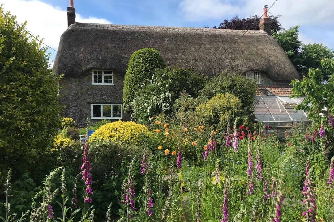 Photo of Others in Cricket Malherbie