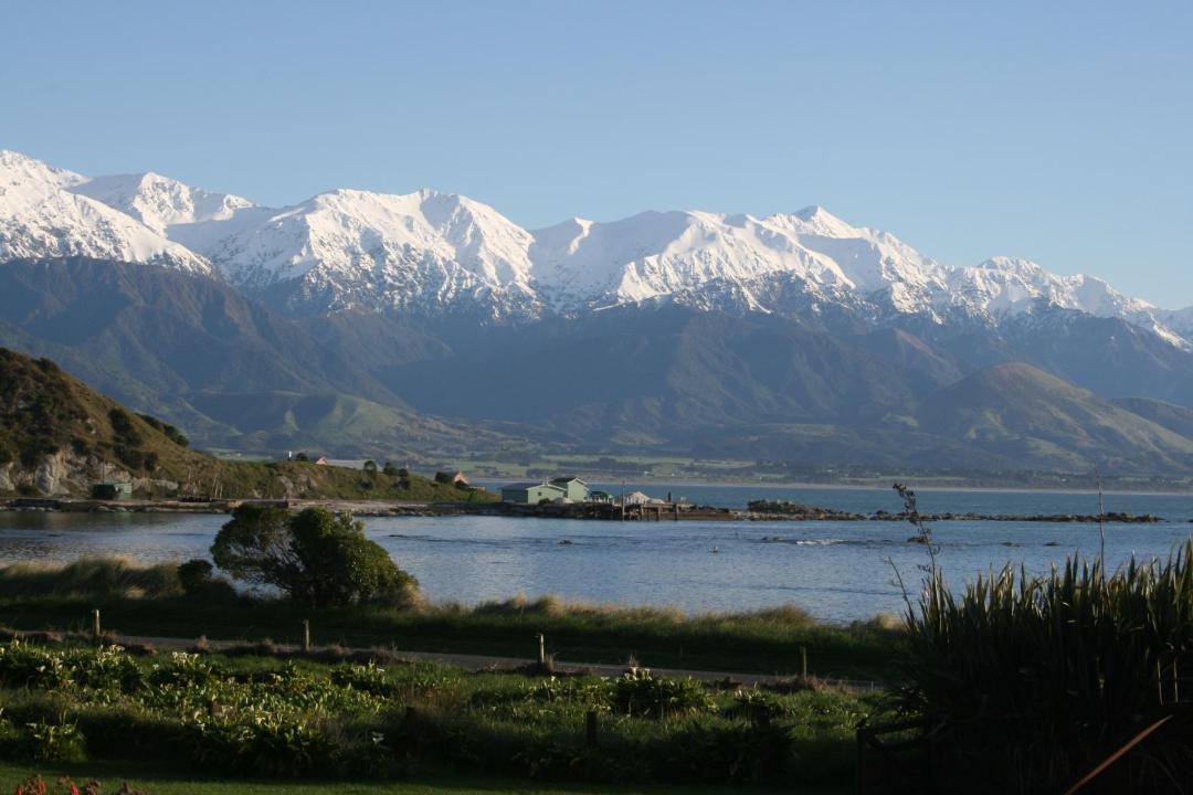 Photo of Outdoor in Kaikoura