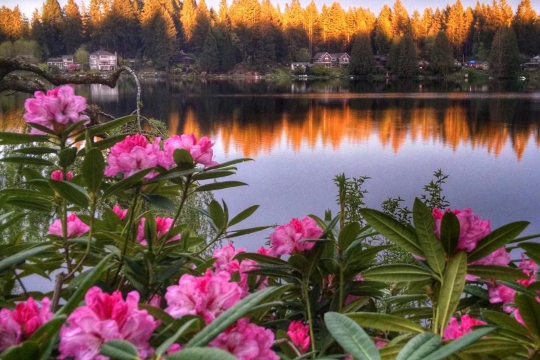 Photo of Others in Woodinville