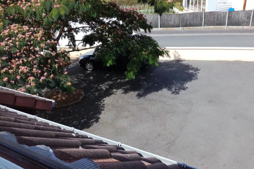 Photo of Others in Le Lude