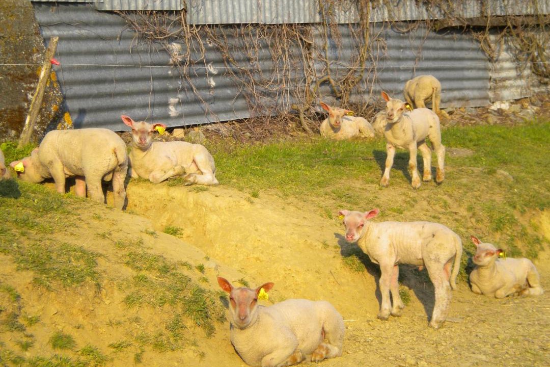 Photo of Others in Reaumur
