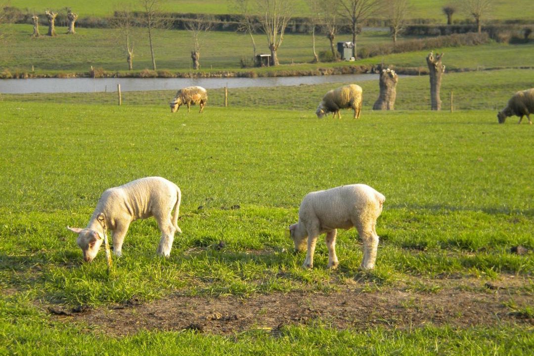 Photo of Others in Reaumur