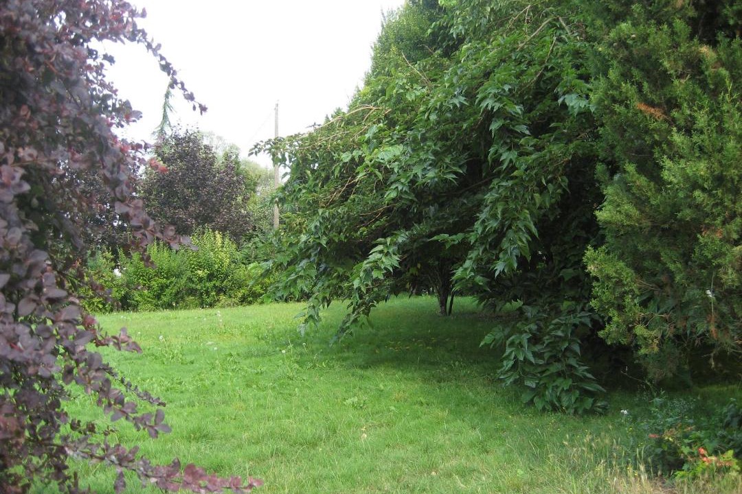 Photo of Others in Barbezieux-Saint-Hilaire