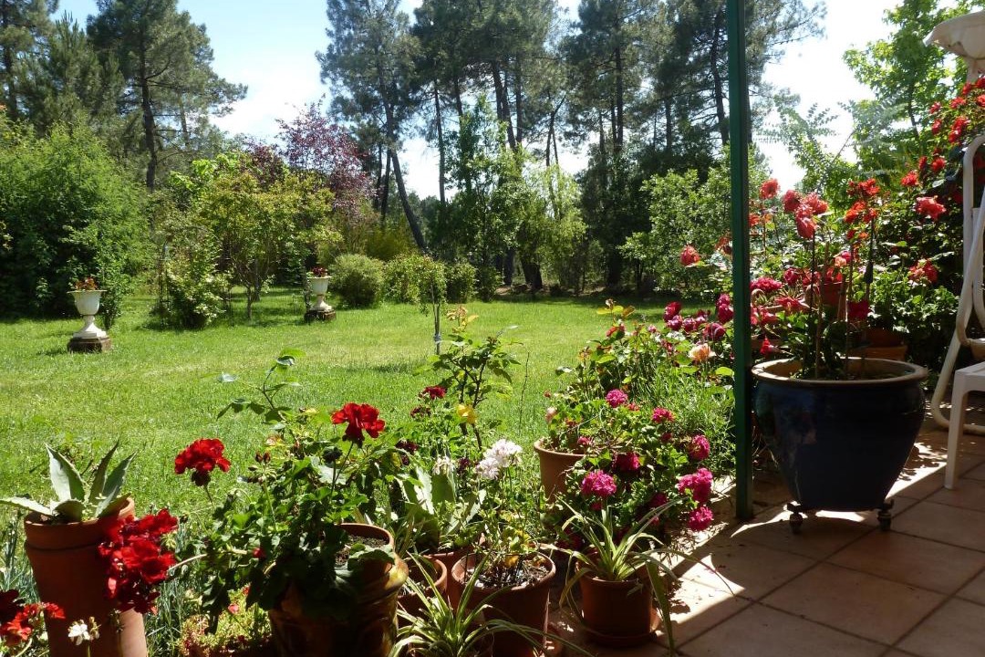 Photo of Others in Ailhon