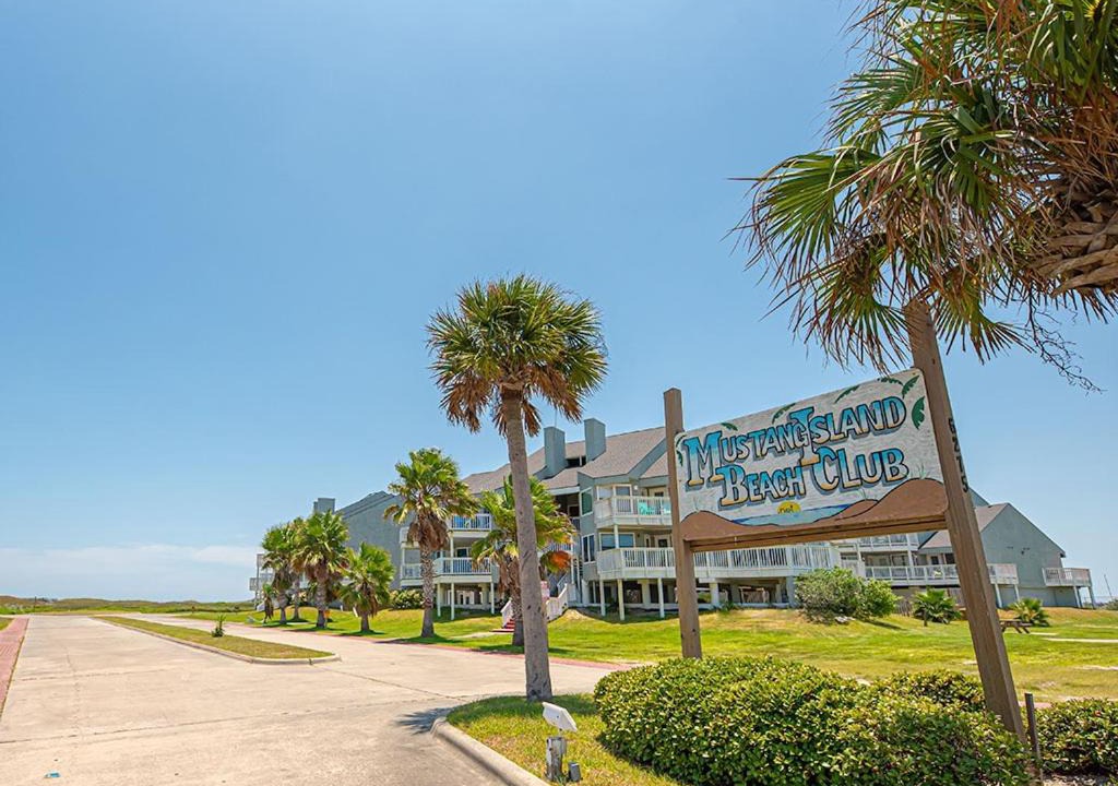 Photo of Others in Port Aransas