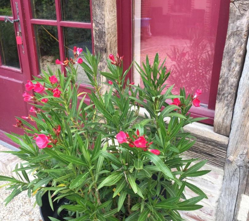 Photo of Others in La Ferte-Beauharnais