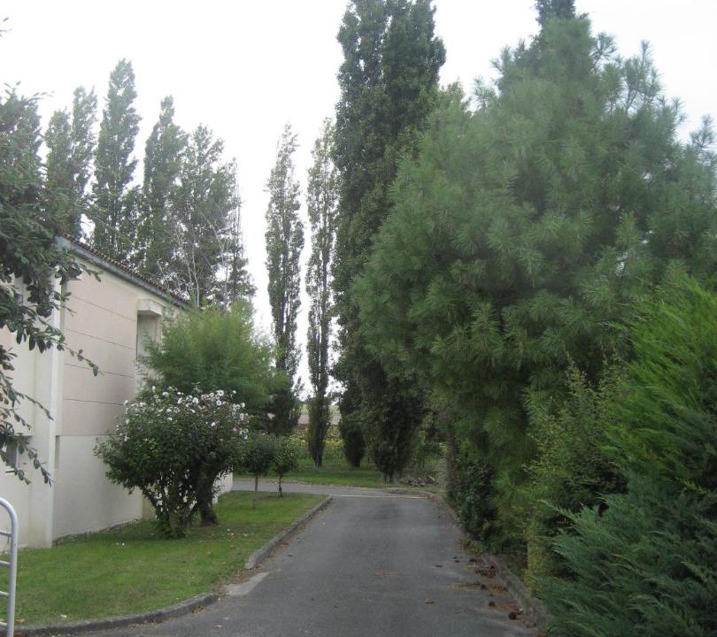 Photo of Others in Barbezieux-Saint-Hilaire