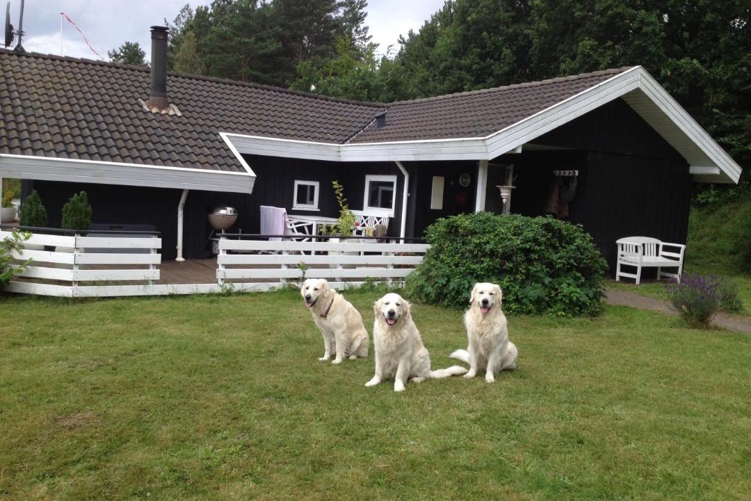 Photo of Others in Øksenmølle