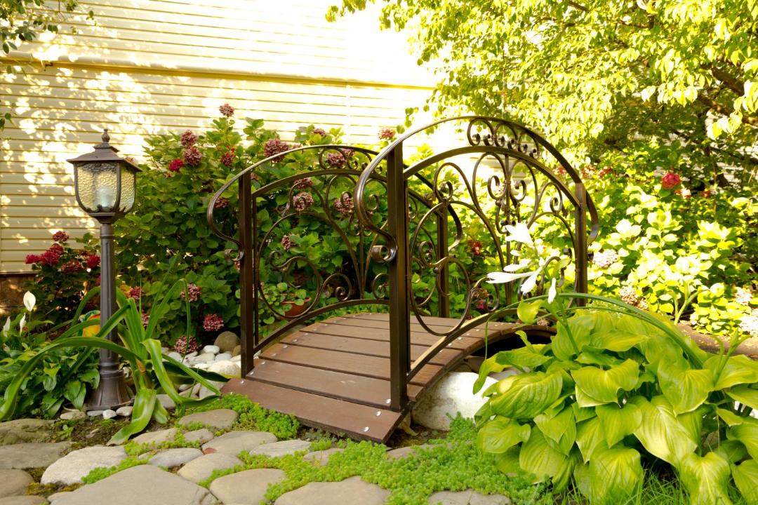 Photo of Others in Lazarevskoye