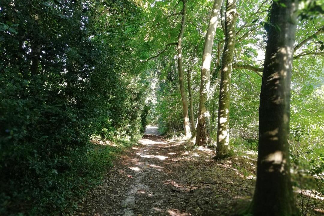 Photo of Others in Aincourt