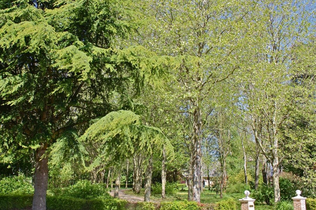 Photo of Others in Fleury-la-Foret