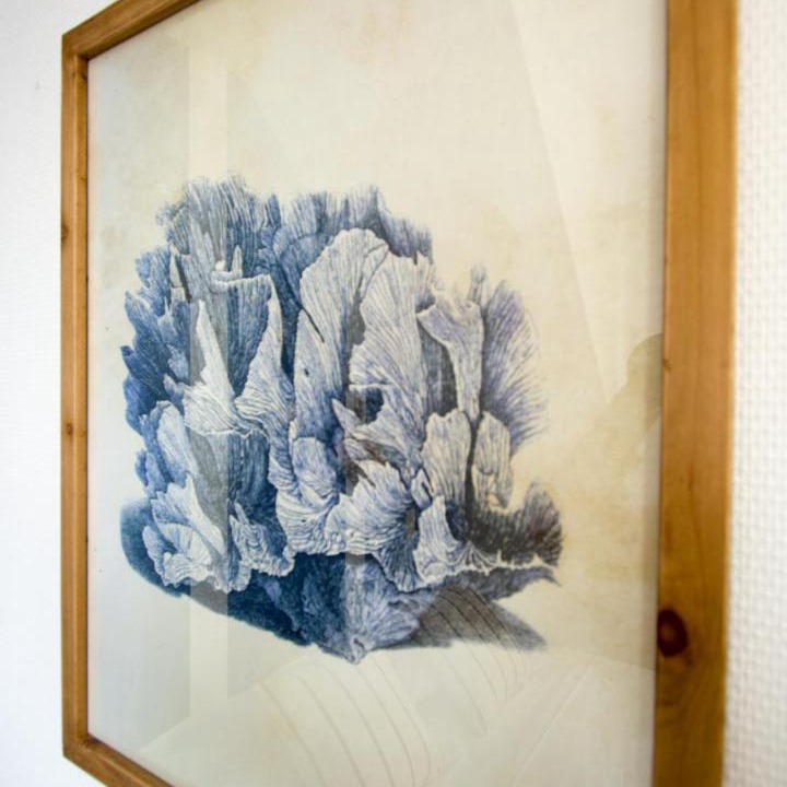 Photo of Others in Le Pouliguen