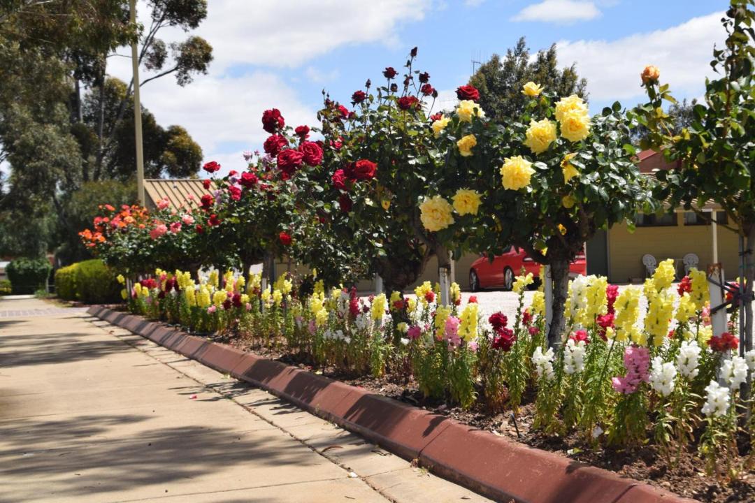 Photo of Others in Echuca