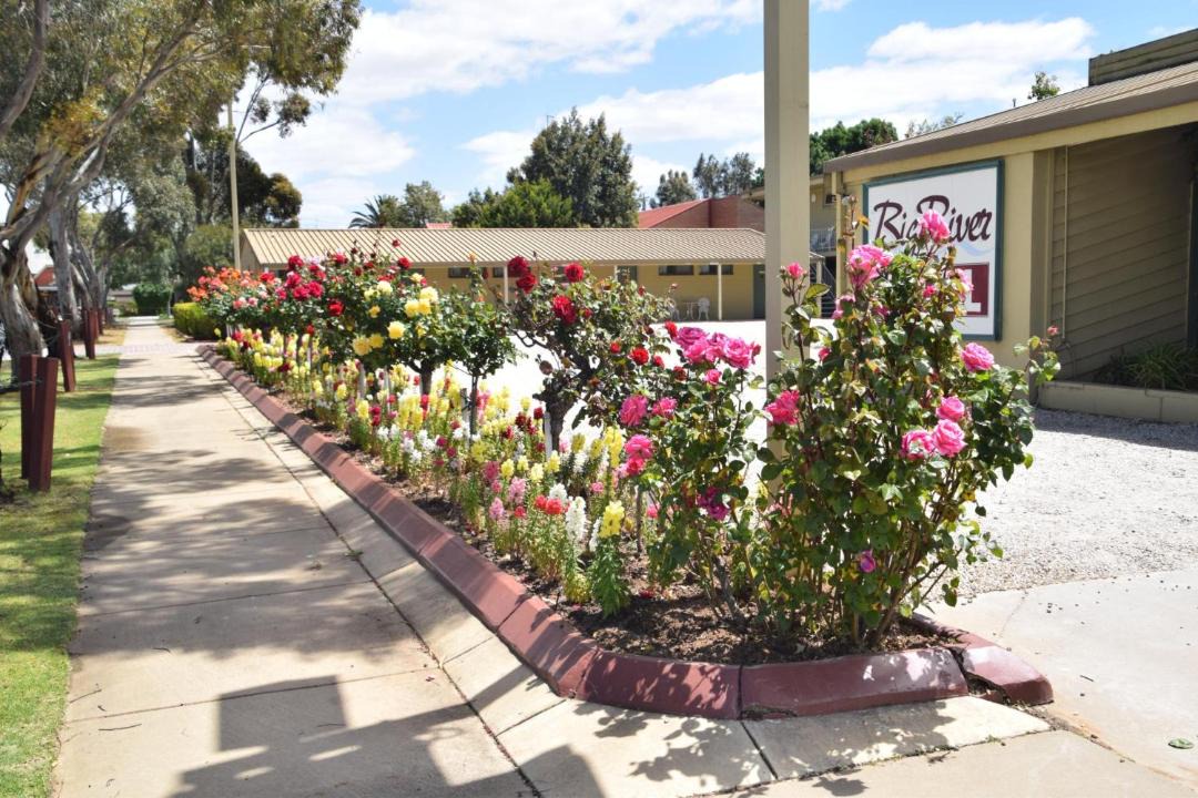 Photo of Others in Echuca