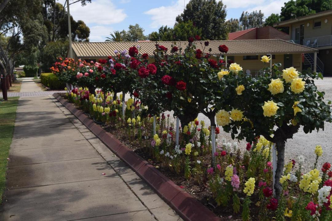 Photo of Others in Echuca