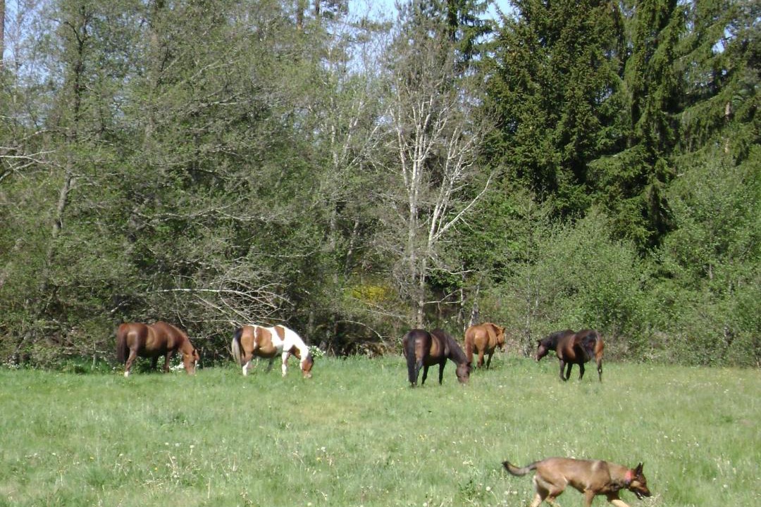 Photo of Others in Usson-en-Forez