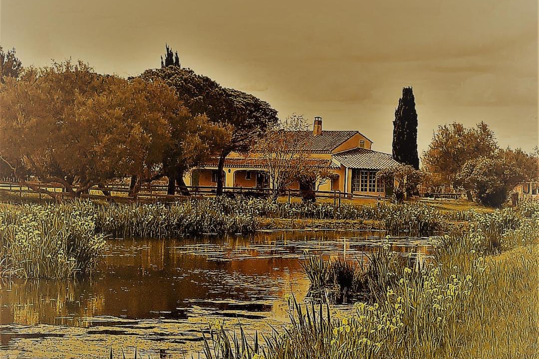 Photo of Others in Saintes-Maries-de-la-Mer