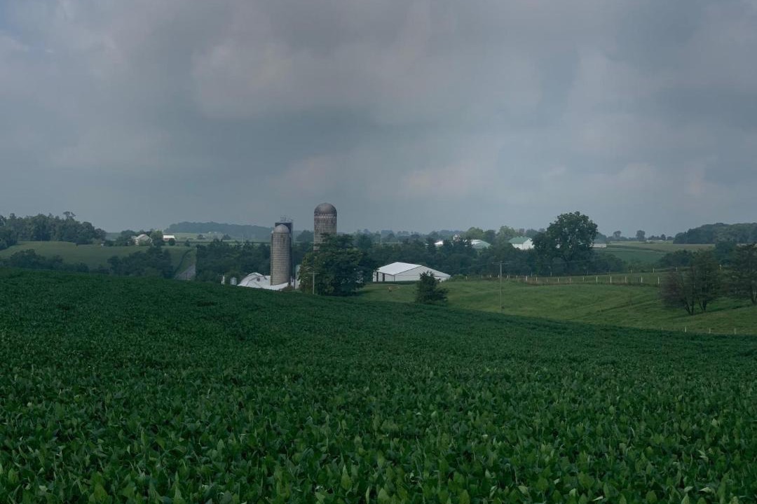 Photo of Others in Manheim