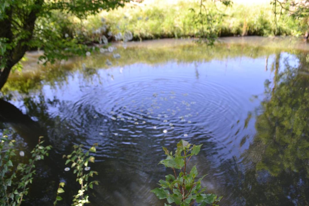 Photo of Others in La Possonniere