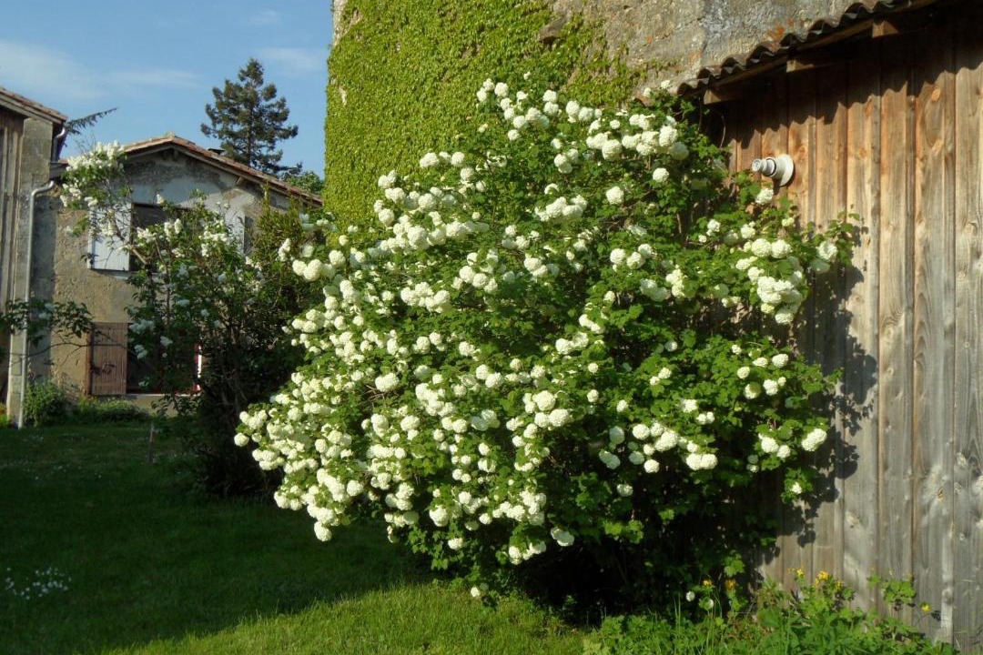 Photo of Others in Auros