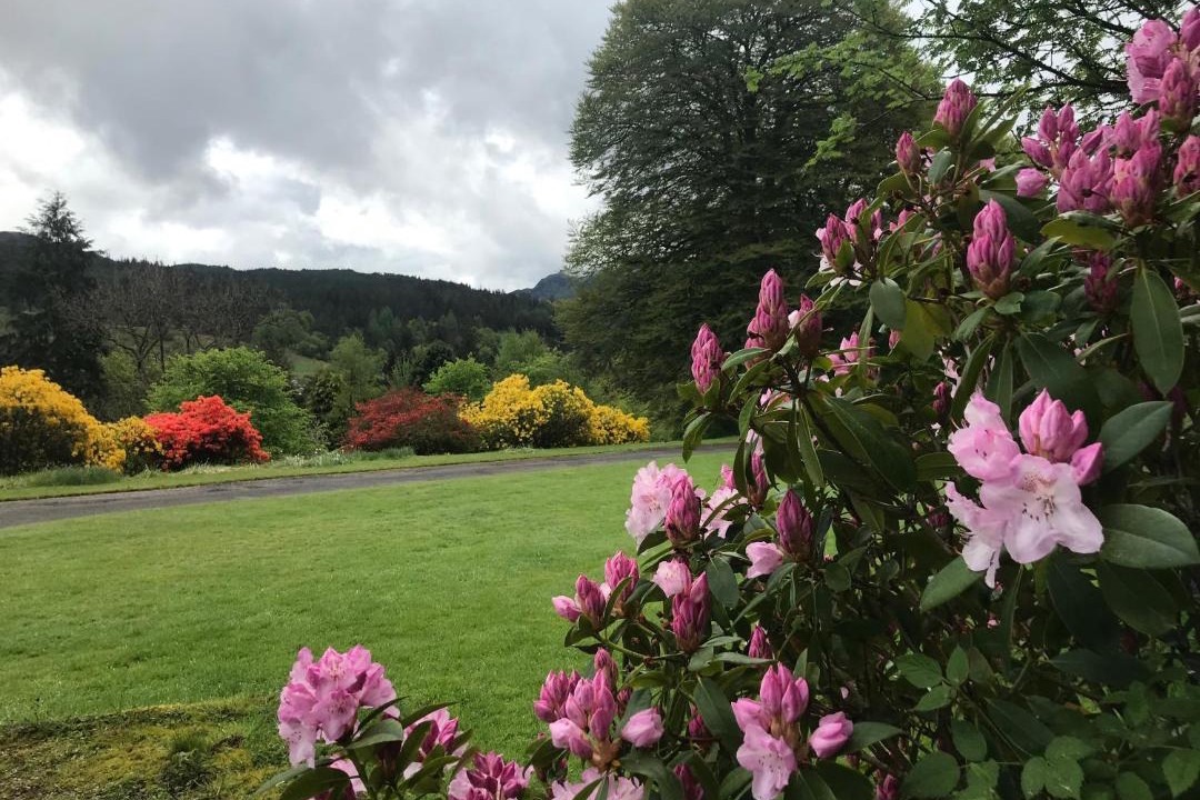 Photo of Others in Strathyre