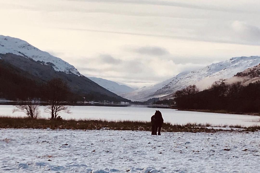 Photo of Others in Strathyre