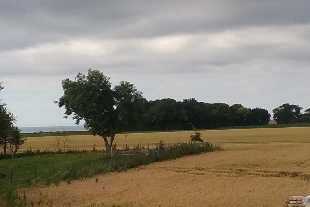 Photo of Others in Bazenville