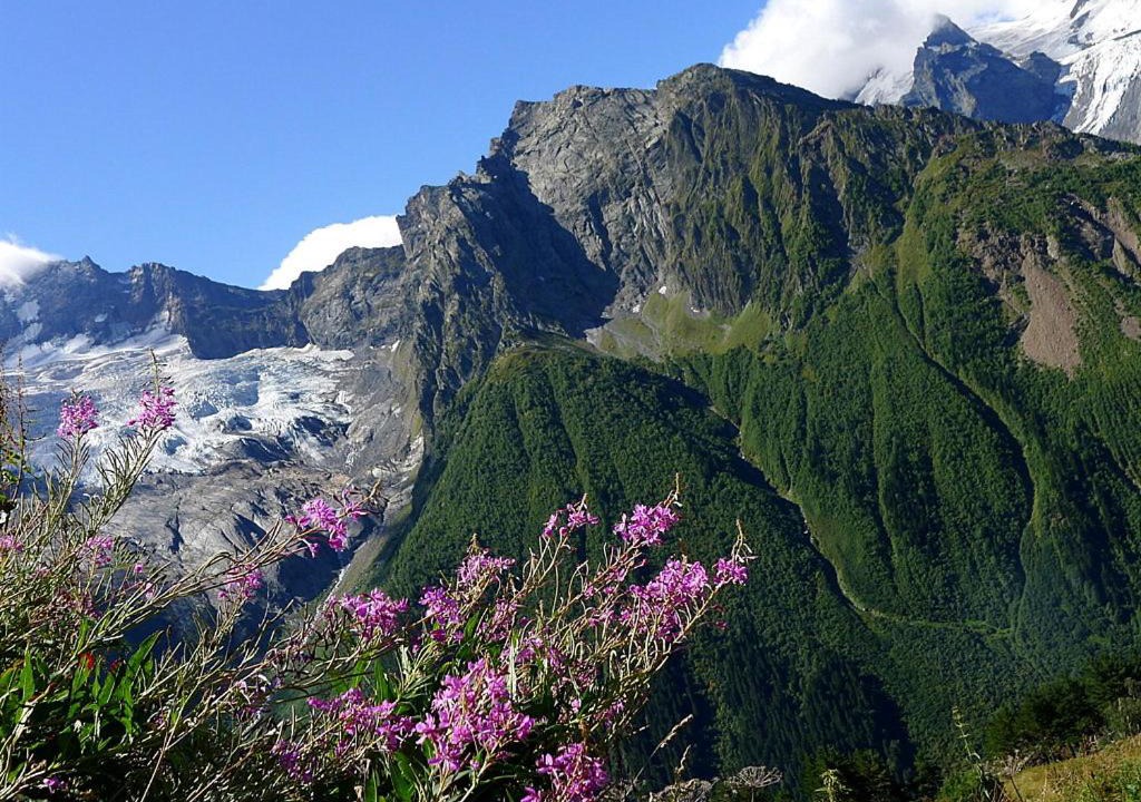 Photo of Outdoor in Teberda