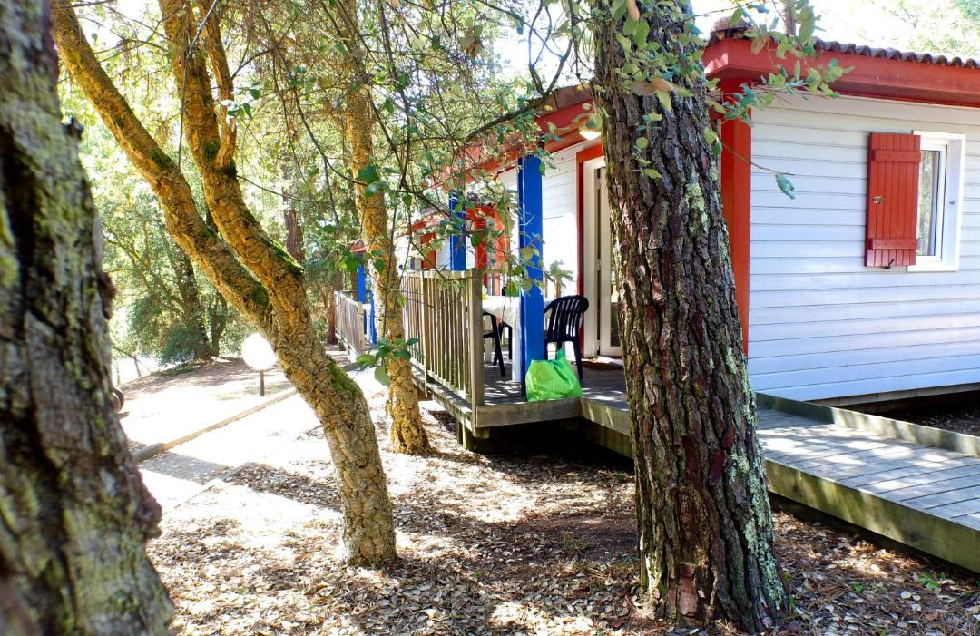 Photo of Others in Moliets-et-Maa