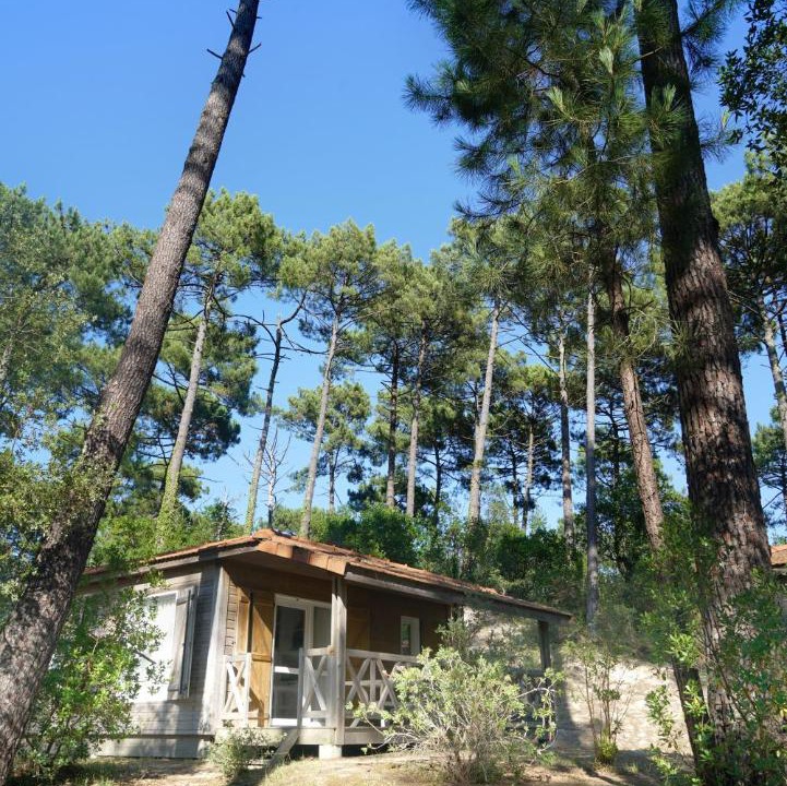 Photo of Others in Moliets-et-Maa