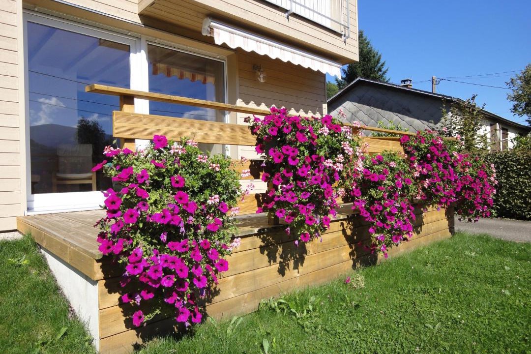 Photo of Patio Balcony in Metzeral