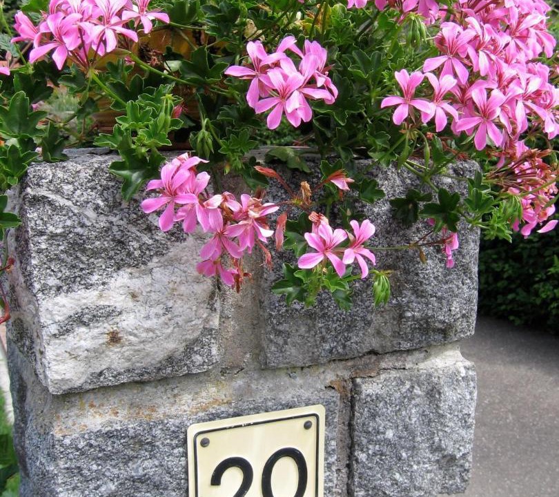 Photo of Others in Metzeral