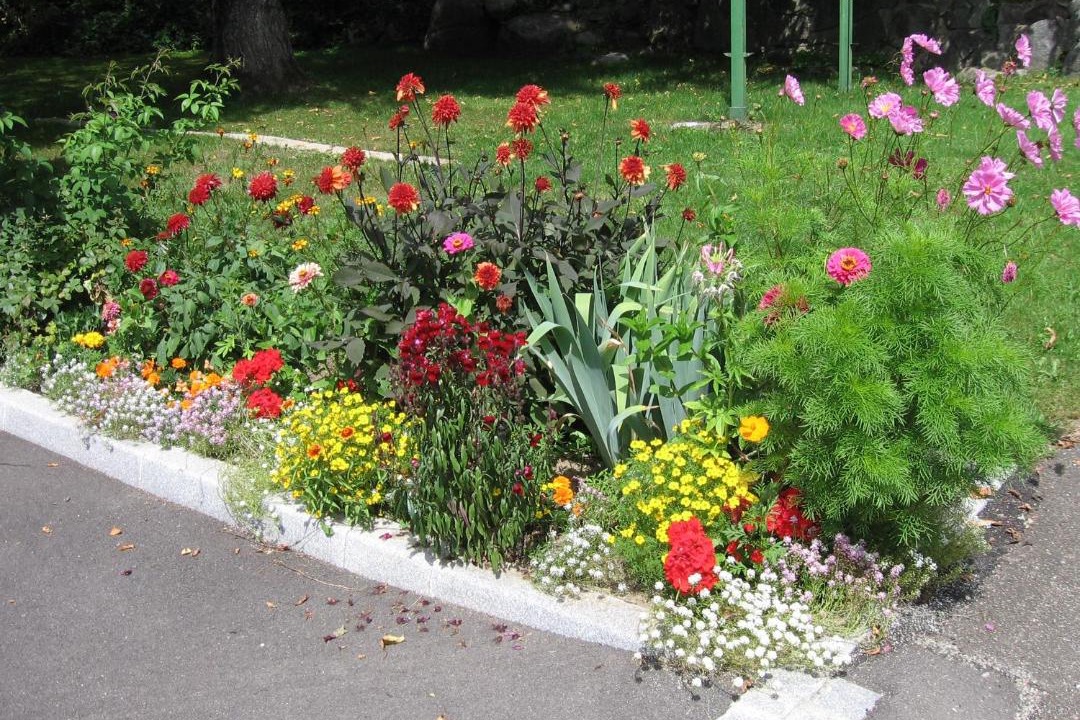 Photo of Outdoor in Metzeral