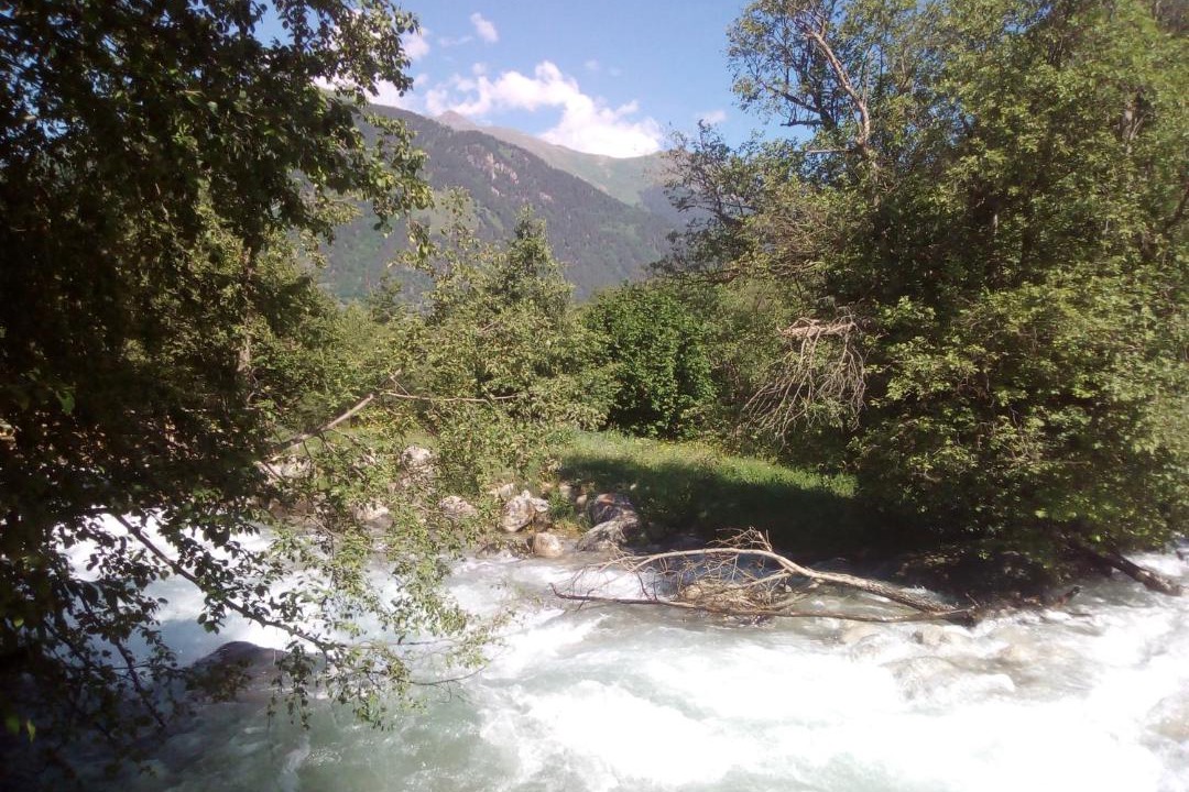 Photo of Outdoor in Teberda