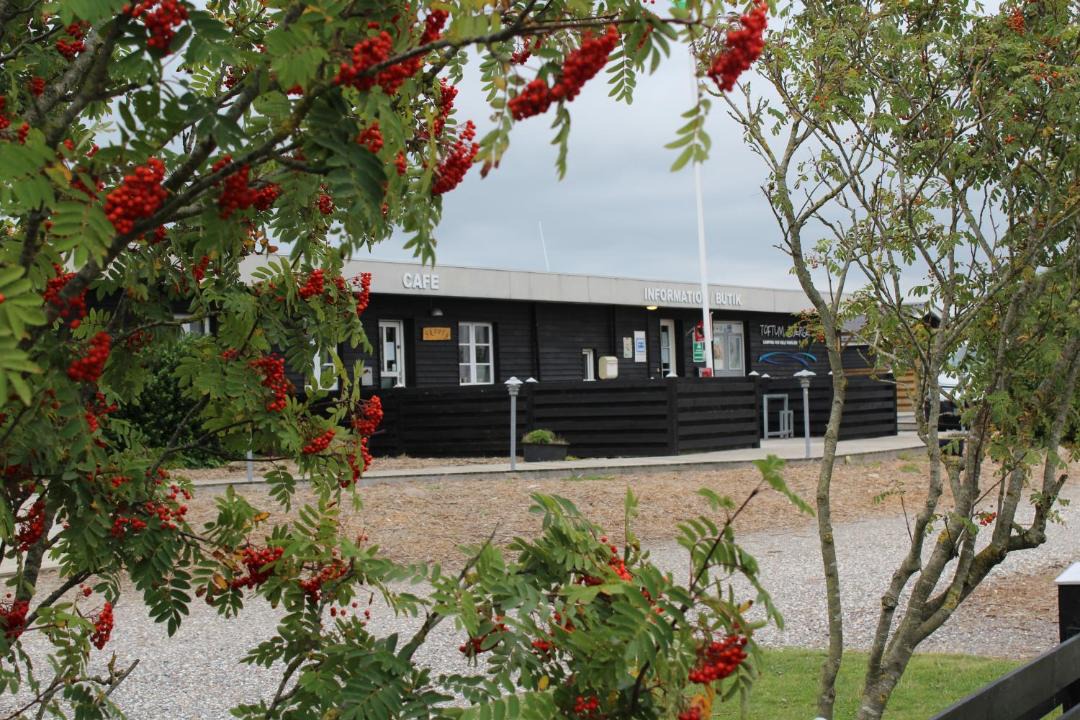 Photo of Others in Remmer Strand