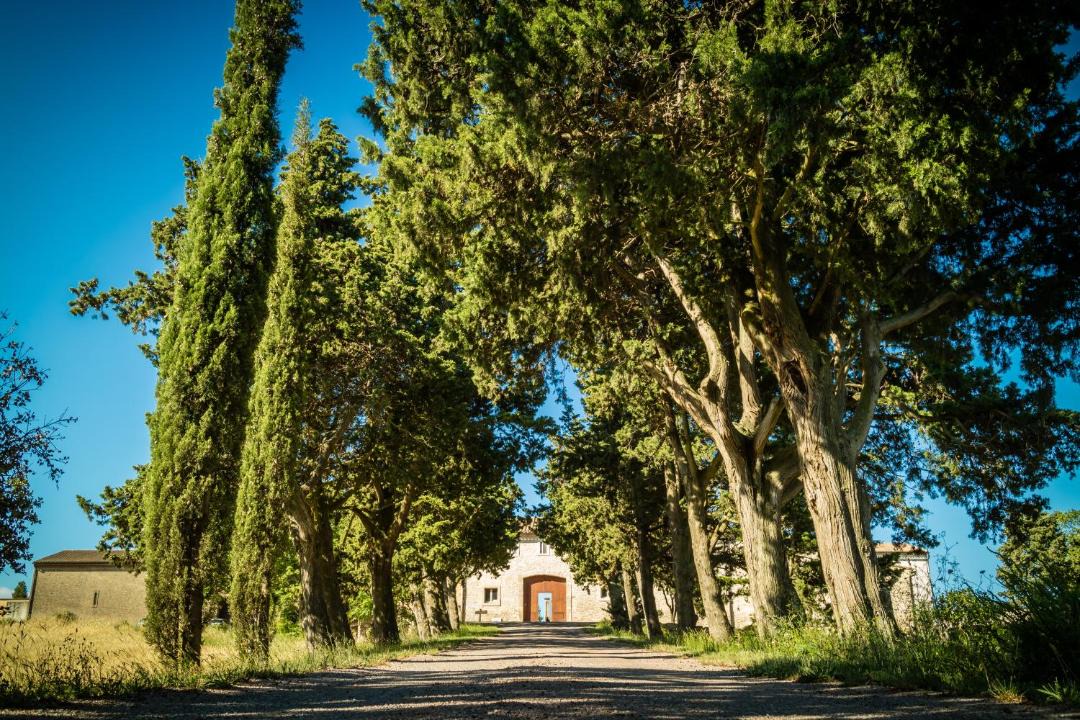 Photo of Others in Laure-Minervois