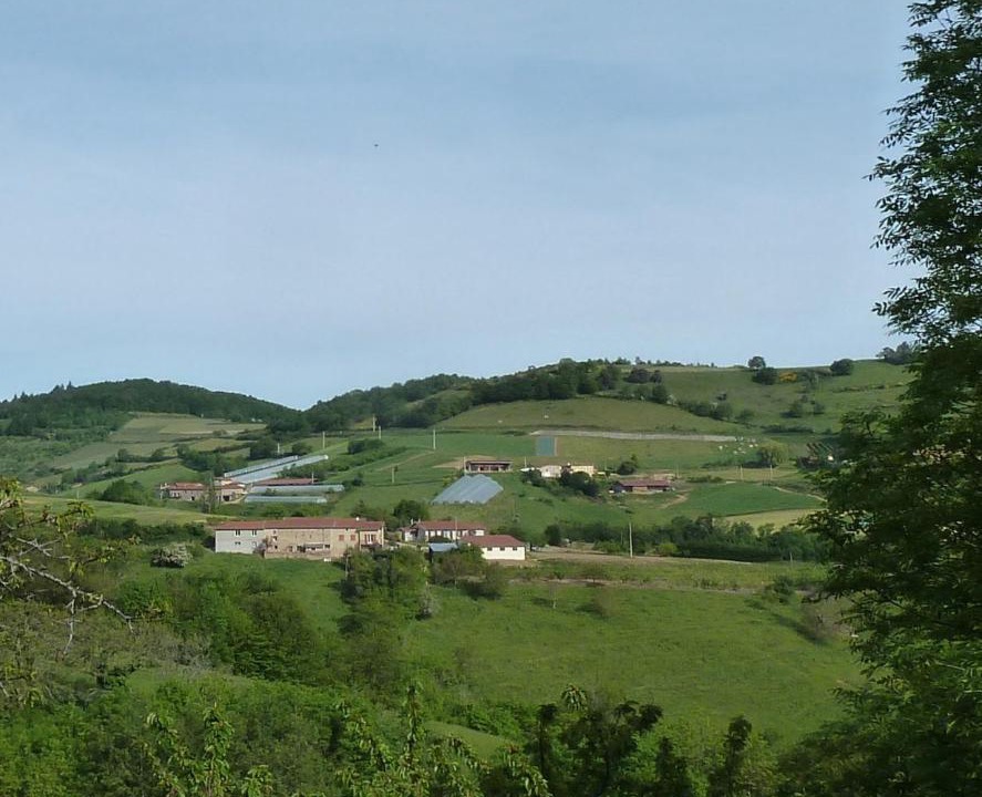 Photo of Others in Rontalon