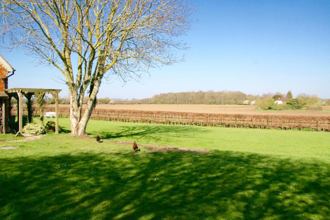 Photo of Others in Hungerford