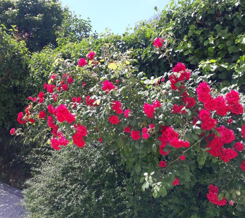 Photo of Others in Provins
