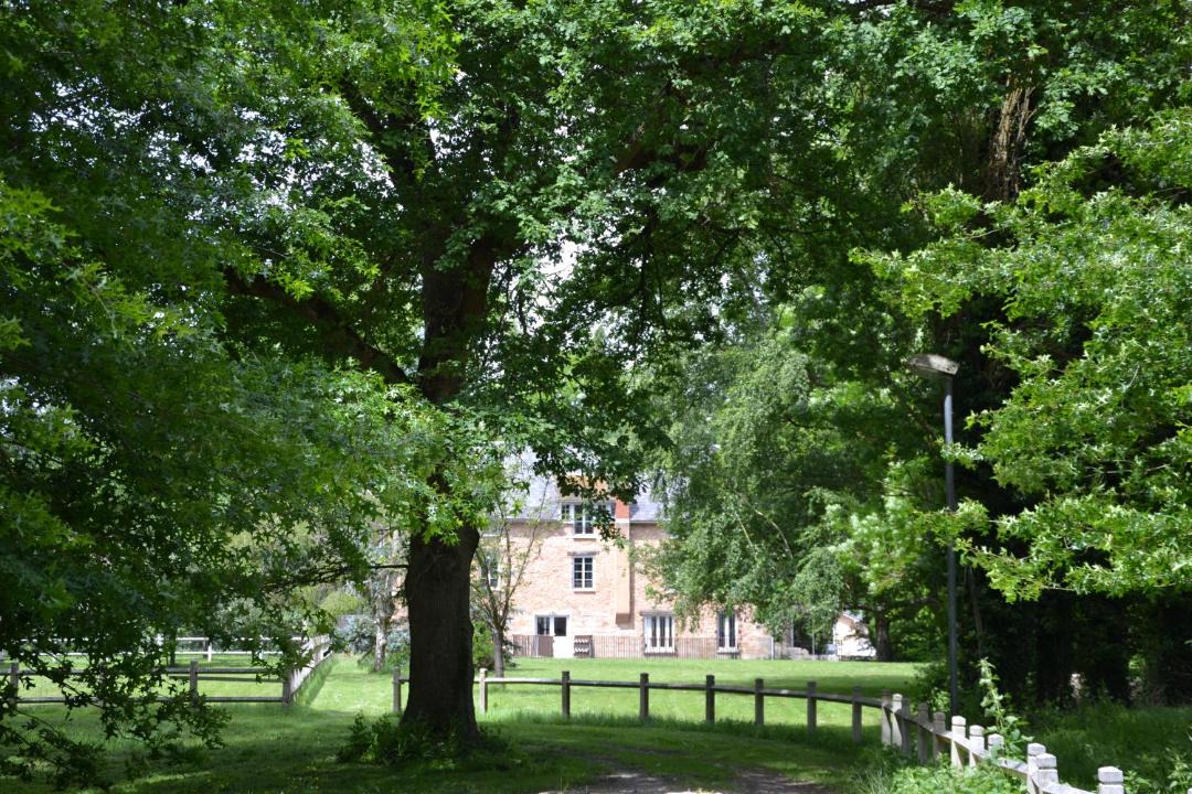 Photo of Others in Saint-Cyr-sous-Dourdan