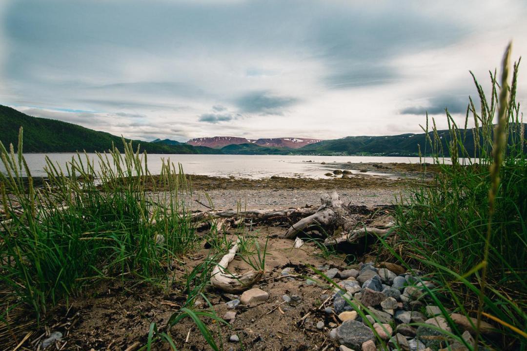 Photo of Others in Norris Point