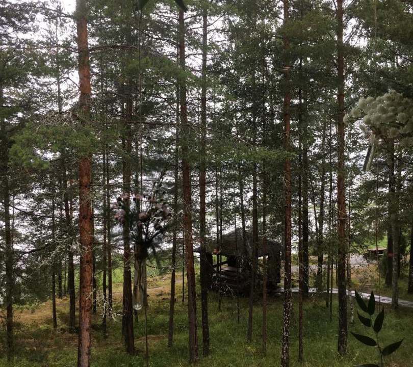 Photo of Outdoor in Kosalma