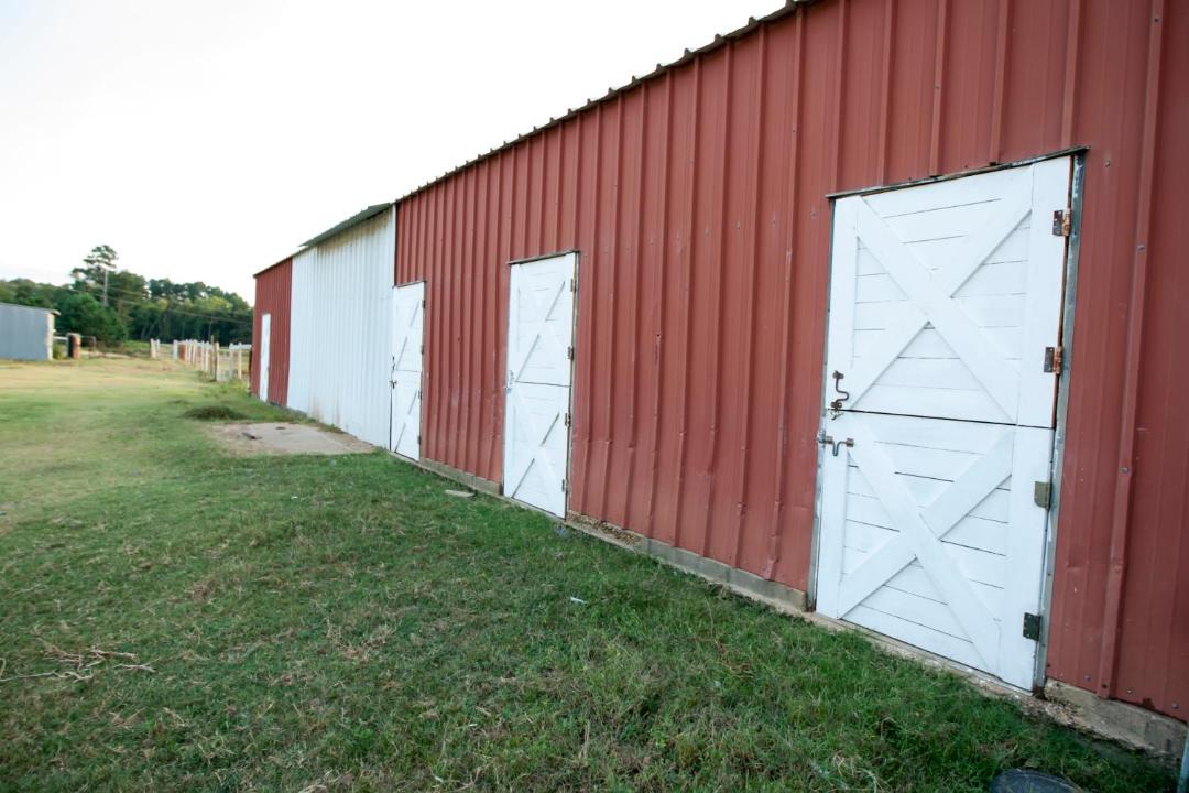 Photo of Others in Tyler