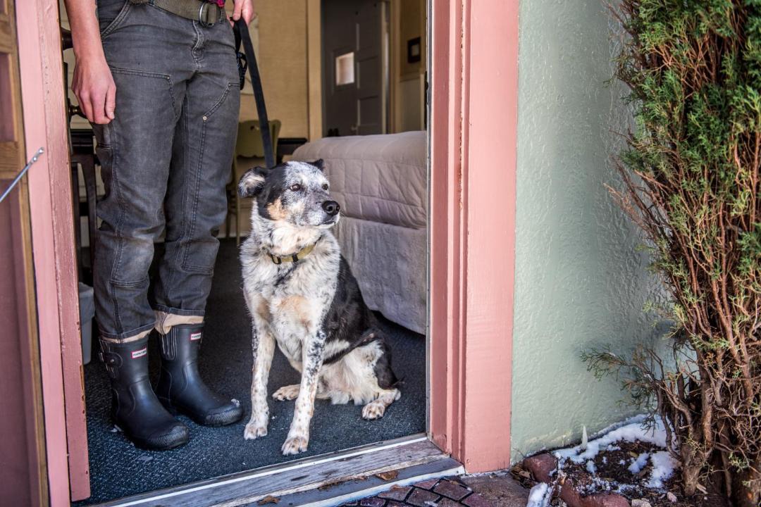 Photo of Others in Bisbee
