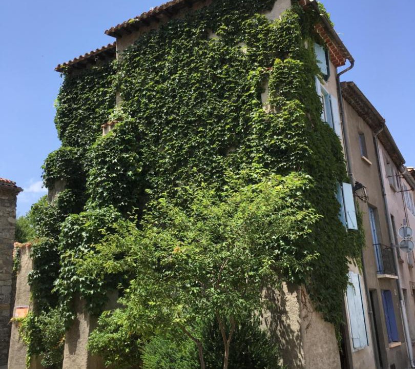 Photo of Others in Quillan