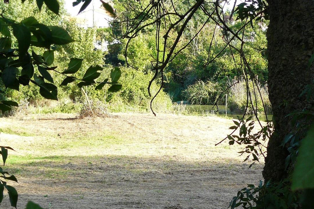 Photo of Others in Saint-Vincent-sur-Jard