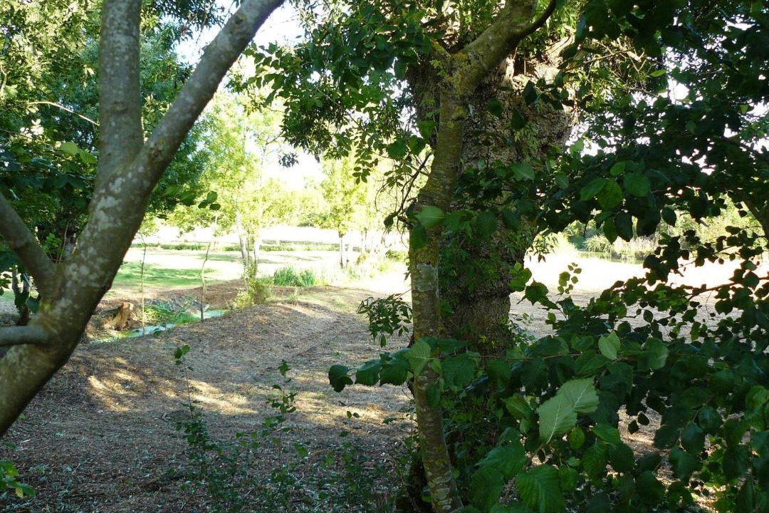 Photo of Others in Saint-Vincent-sur-Jard