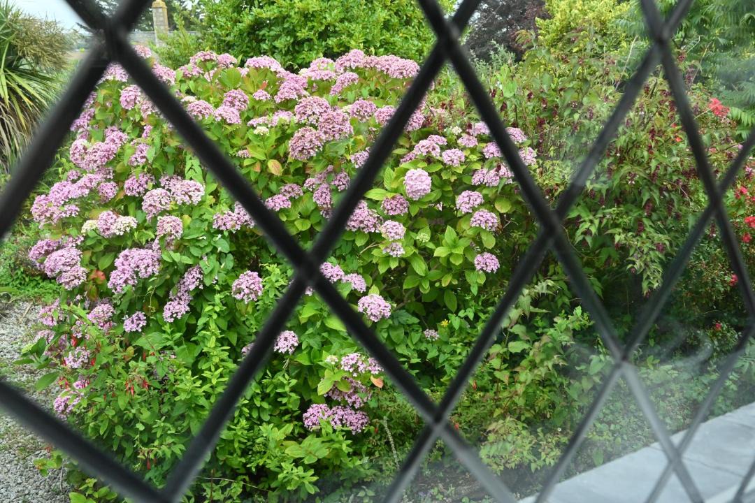 Photo of Others in Lelant